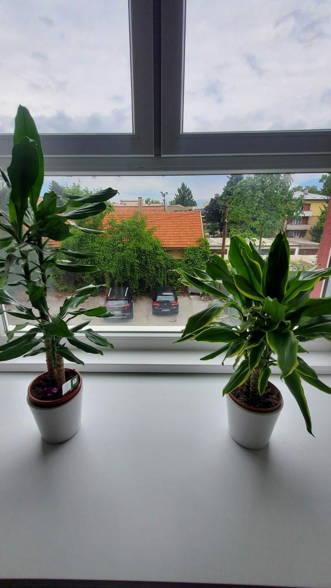 Appartement Blue I
